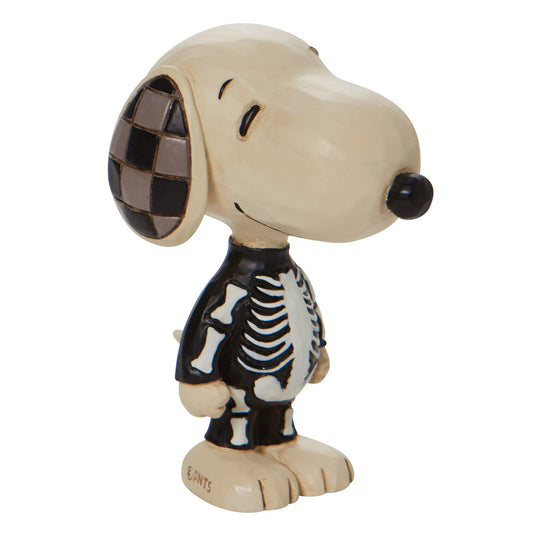 6010620 Snoopy Skeleton Mini Front