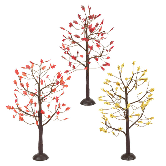 El caballero loco del calvaria