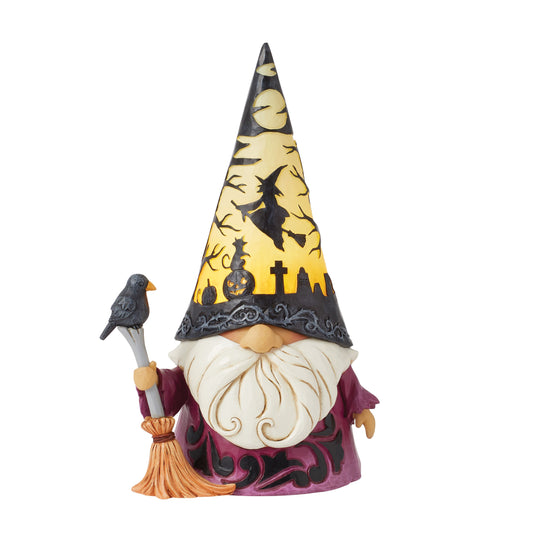 Wizard with LED Scene Hat