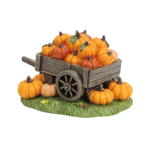 Hey There Pumpkin!